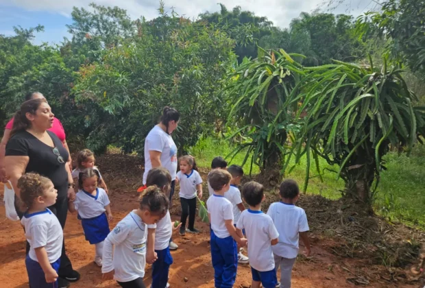 Projeto Horta na Escola incentiva educação ambiental e alimentação saudável em creche municipal