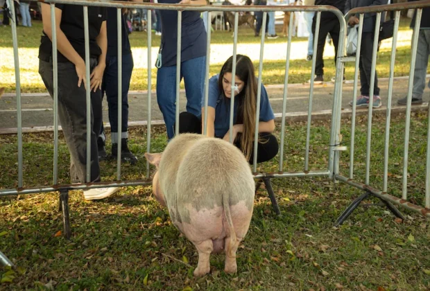 1ª Feira Pet de Artur Nogueira reúne centenas de visitantes e movimenta setor