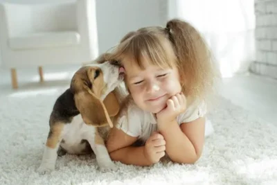 Filhotes nas Férias: Adotar com Consciência é um Ato de Amor