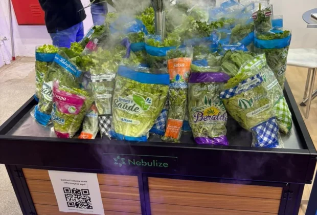  Hortitec 2025 chega ao fim em Holambra com foco em inovação e sustentabilidade