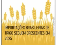 IMPORTAÇÃO DE TRIGO