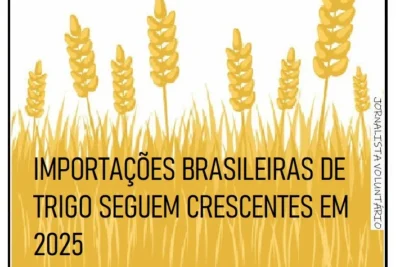 IMPORTAÇÃO DE TRIGO