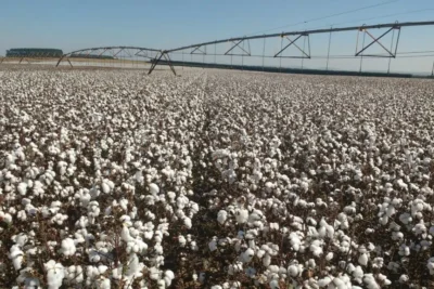 Tecnologia na irrigação: SP se destaca com uso de pivôs centrais na agricultura