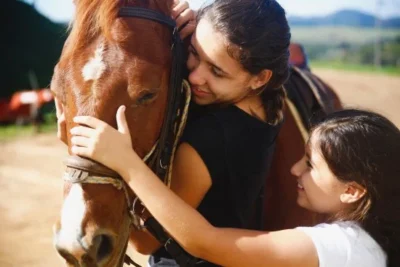 Cavalos: do campo para o coração. A nova era dos pets de grande porte