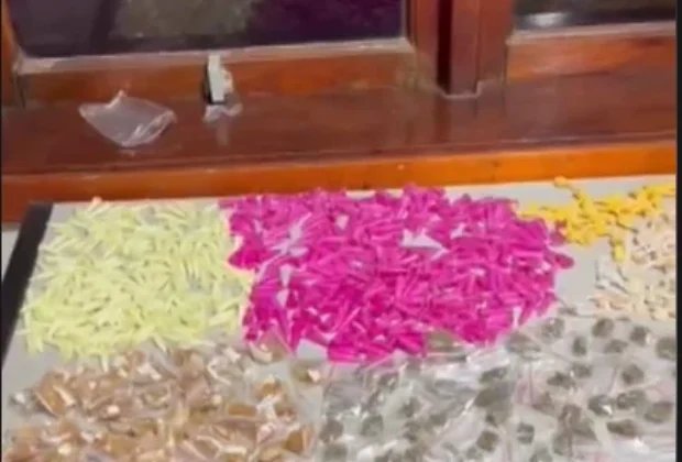 Mulher é presa por tráfico de drogas em flagrante em Cosmópolis