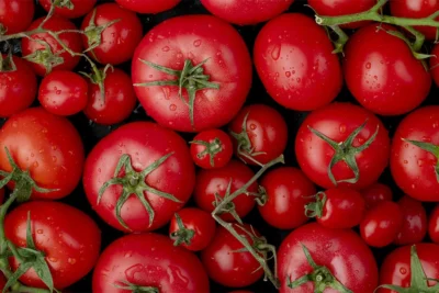 Veja como pesquisa da USP melhorou qualidade do tomate com modificação de gene