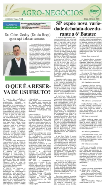 Homem do Campo 25-07-25