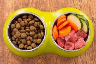Alimentação Natural x Ração: O Que é Melhor para o Seu Pet?