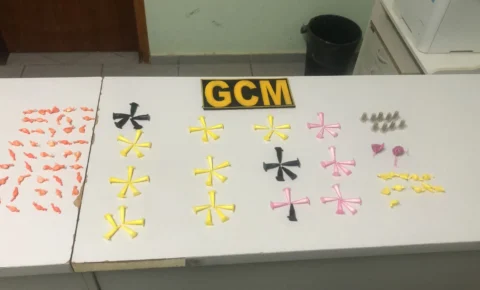 GCM de Santo Antônio de Posse realiza duas operações com apreensão de drogas