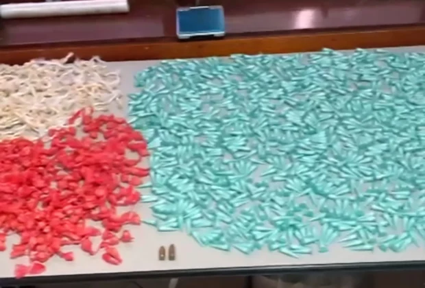 PM estoura ponto de tráfico e apreende drogas e munições em Cosmópolis