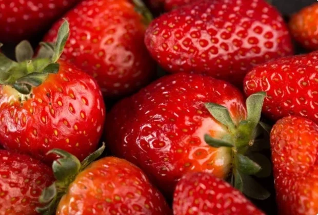 Monte Alegre do Sul celebra tradição e sabores na 30ª Festa do Morango