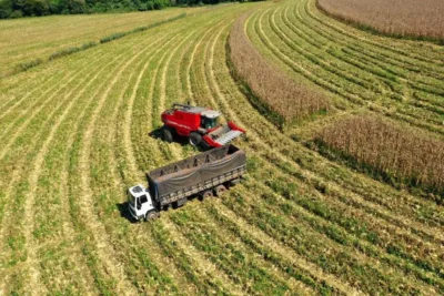 PIB paulista cresce 2% em 2025 puxado pela agropecuária