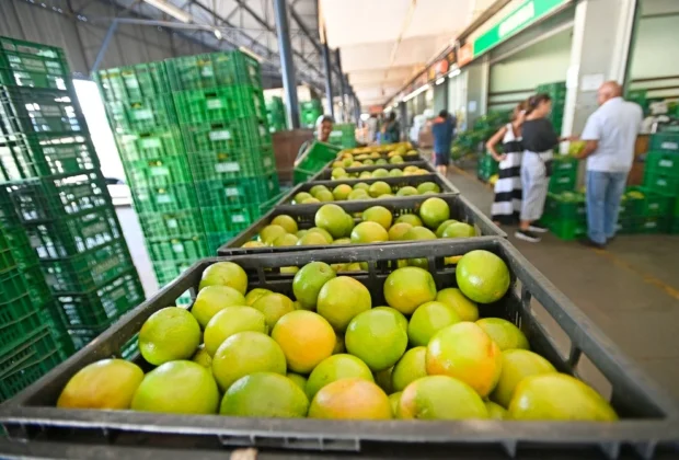 Preço das frutas brasileiras cai 11,1%, aponta Ceasa Campinas