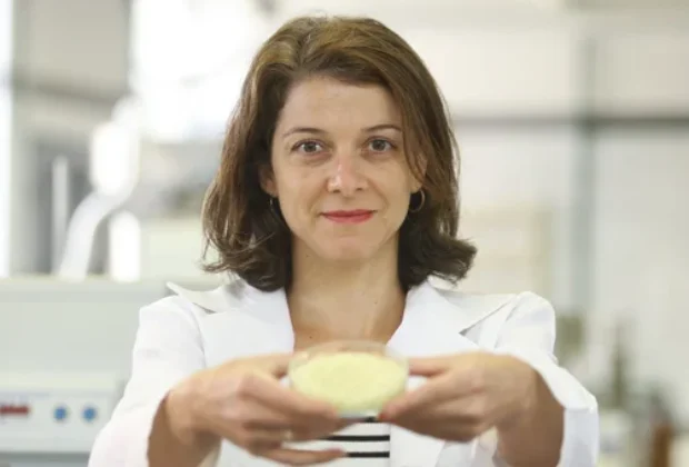 Tecnologia à base de óleo de tomilho desenvolvido na Unicamp elimina larvas do mosquito da dengue