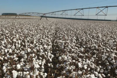Programa Irriga+ amplia acesso a crédito com juros subsidiados para produtores rurais