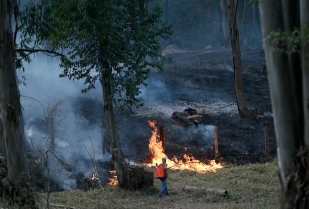 Risco de incêndio em Campinas: Defesa Civil alerta e pede que população colabore