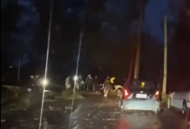 Chuva derruba árvores e motoristas se mobilizam para limpar estrada entre Monte Alegre do Sul e Serra Negra