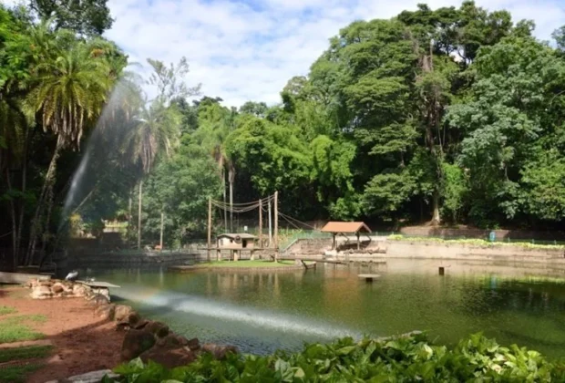 Campinas: natureza e lazer sem gastar nada