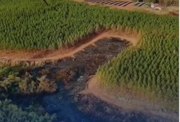 Tragédia verde: queimada destrói área de mata em Estiva Gerbi