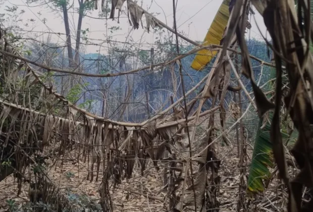 Polícia Militar prende homem por incêndio criminoso em chácara de Mogi Mirim