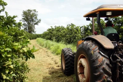 Agro paulista tem superávit de mais de US$ 14 bilhões no ano