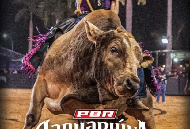 Jaguariúna Rodeo Festival recebe PBR Teams com disputa entre cinco equipes nos dias 26 e 27