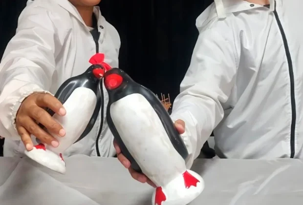 Companhia de teatro infantil BuZum! estreia nova temporada em Holambra