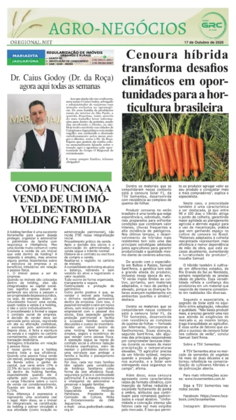 Homem do Campo 24-10-25