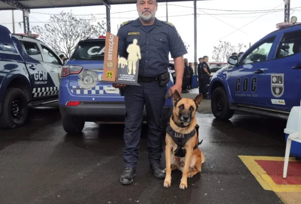 Canil da GCM de Artur Nogueira conquista 1º lugar em competição nacional de cães policiais