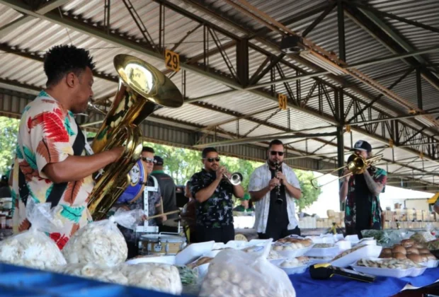Ceasa Campinas registra mais de seis mil visitantes no Mercado de Flores durante o Dia de Finados