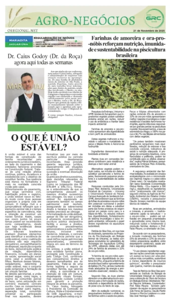 Homem do Campo 21-11-25