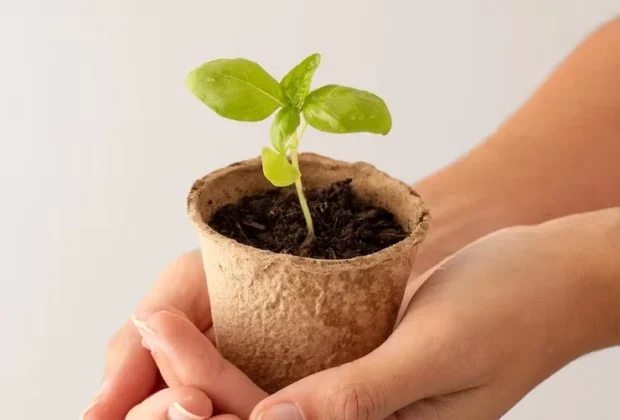 Pedreira abre inscrições para o 1º Workshop Cultura da Terra