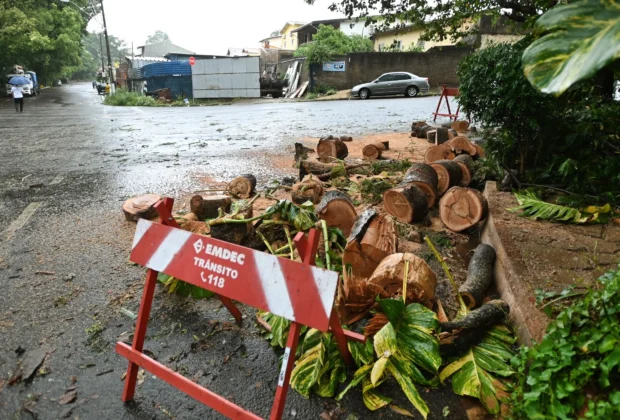 Equipes da Prefeitura de Campinas trabalham na recolha de árvores nesta segunda-feira, 24