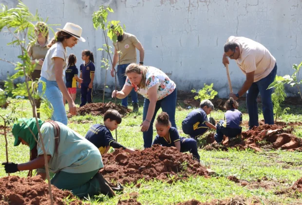 Prefeitura de Mogi Mirim inicia projeto de arborização urbana em áreas verdes do município