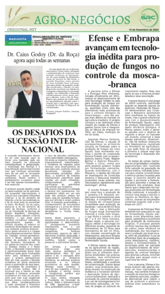Homem do Campo 19-12-25