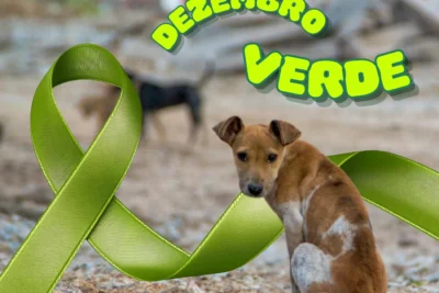 Adotar com consciência: um ato de amor que transforma vidas