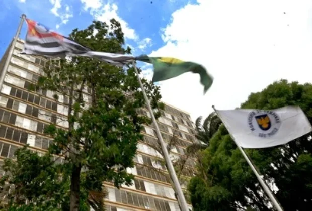 Fortes ventos atingem Campinas e causam queda de árvores; Defesa Civil emite recomendações