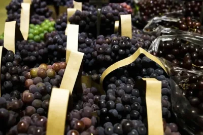 Setor de hortifrutis projeta retomada das exportações brasileiras aos EUA com o fim do tarifaço