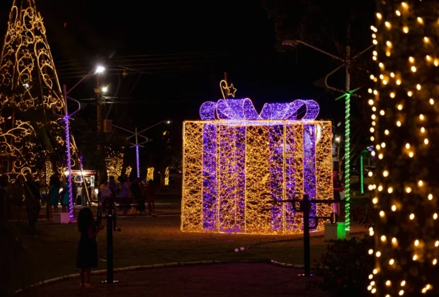 Decoração do Natal Encantado ilumina Artur Nogueira
