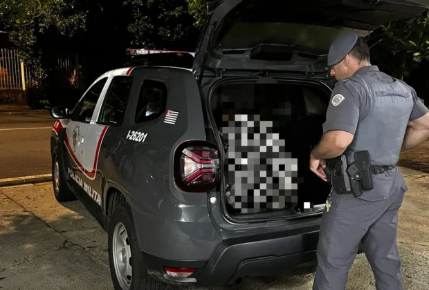 Polícia Militar prende indivíduo por tráfico de drogas em Pedreira