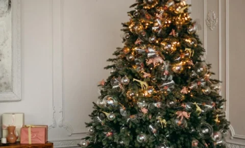 Luzes de Natal: beleza tradicional que exige atenção redobrada