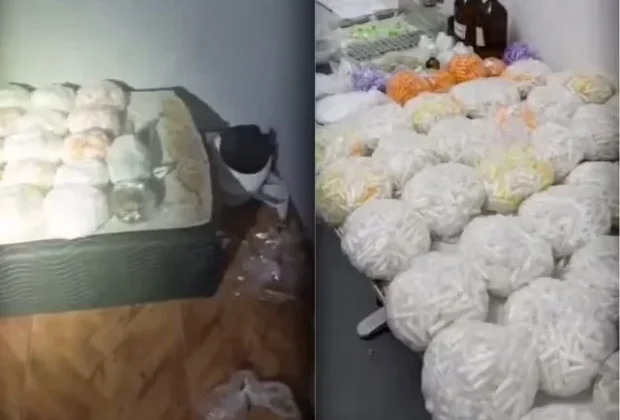 Polícia Militar apreende 18 quilos de drogas e prende homem em Campinas