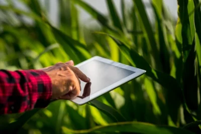 Sebrae-SP e Embrapa selecionam startups para validar soluções inovadoras em fazenda experimental