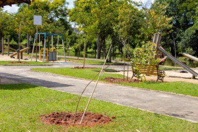 MEIO AMBIENTE REALIZA PLANTIO DE MUDAS NO PARQUE DOS LAGOS