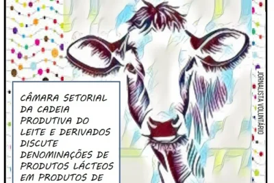DENOMINAÇÕES