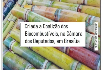 COALIZÃO PELOS BIOCOMBUSTÍVEIS