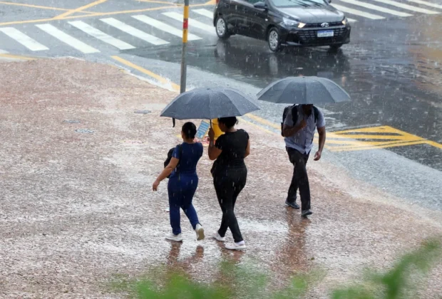 Prefeitura fecha sete parques e a Mata de Santa Genebra nesta quinta-feira, 26, após chuvas de mais de 80mm em 72h