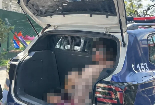 GCM prende homem por furto de orquídeas no bairro Imigrantes, em Holambra