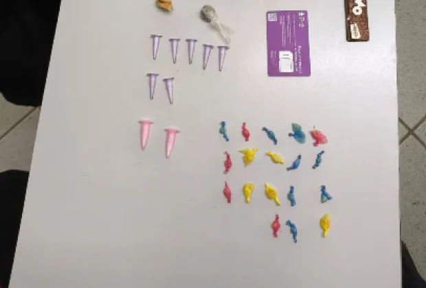 Homem é preso por tráfico de drogas no bairro Bela Vista II em Santo Antônio de Posse