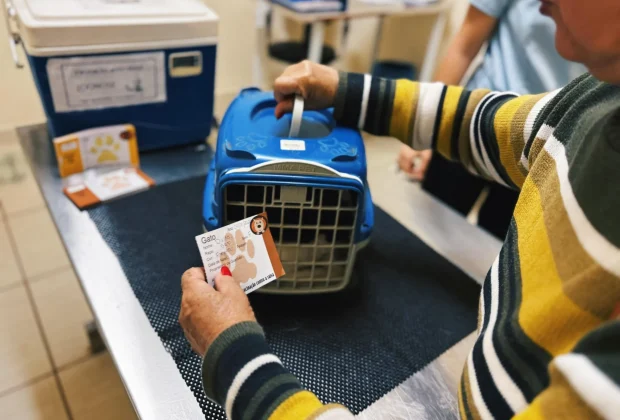 Prefeitura abre agendamento para vacinação antirrábica em Artur Nogueira